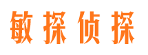 饶平侦探